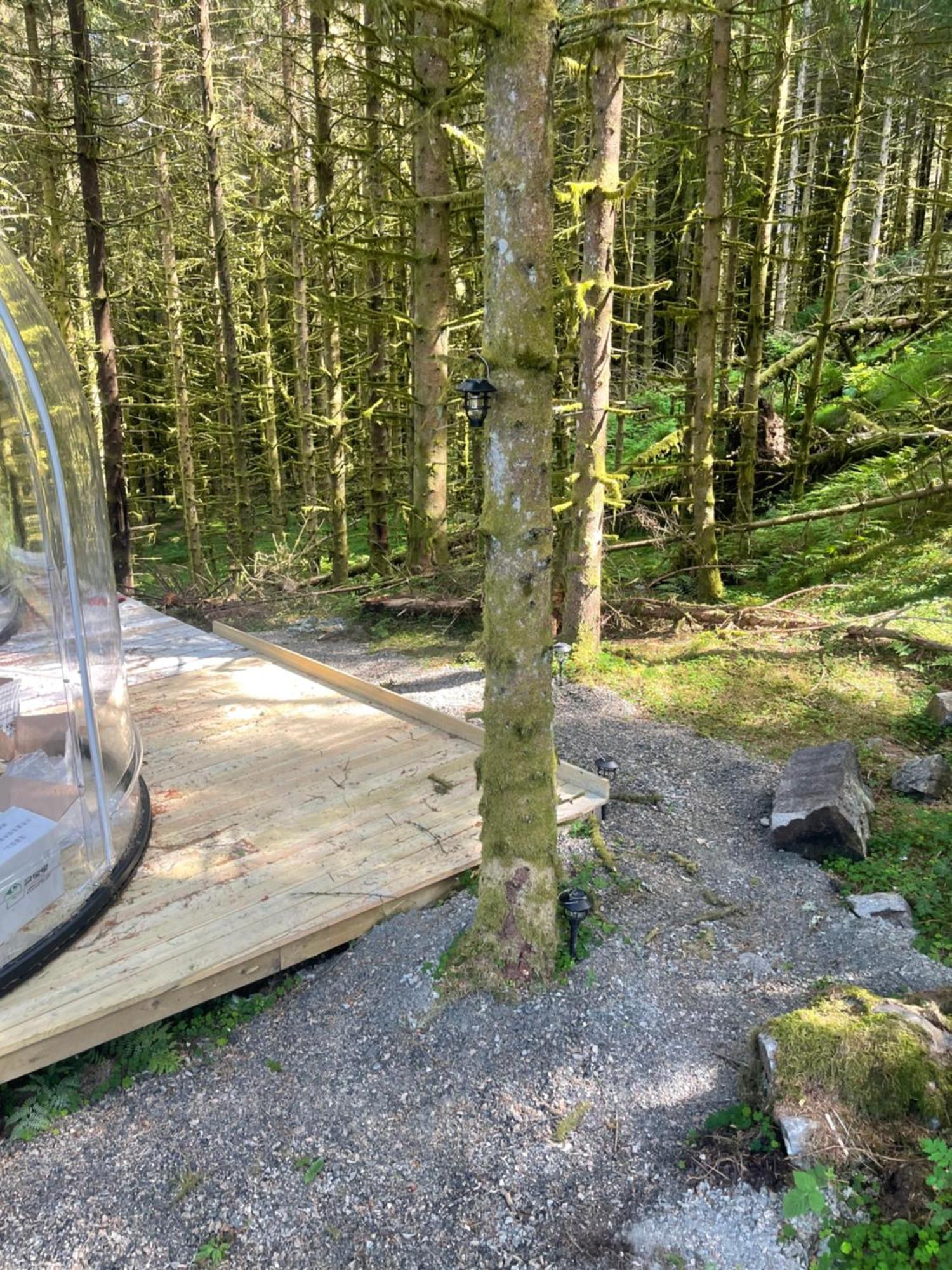 Leilighet Magical Forest Haven Dome